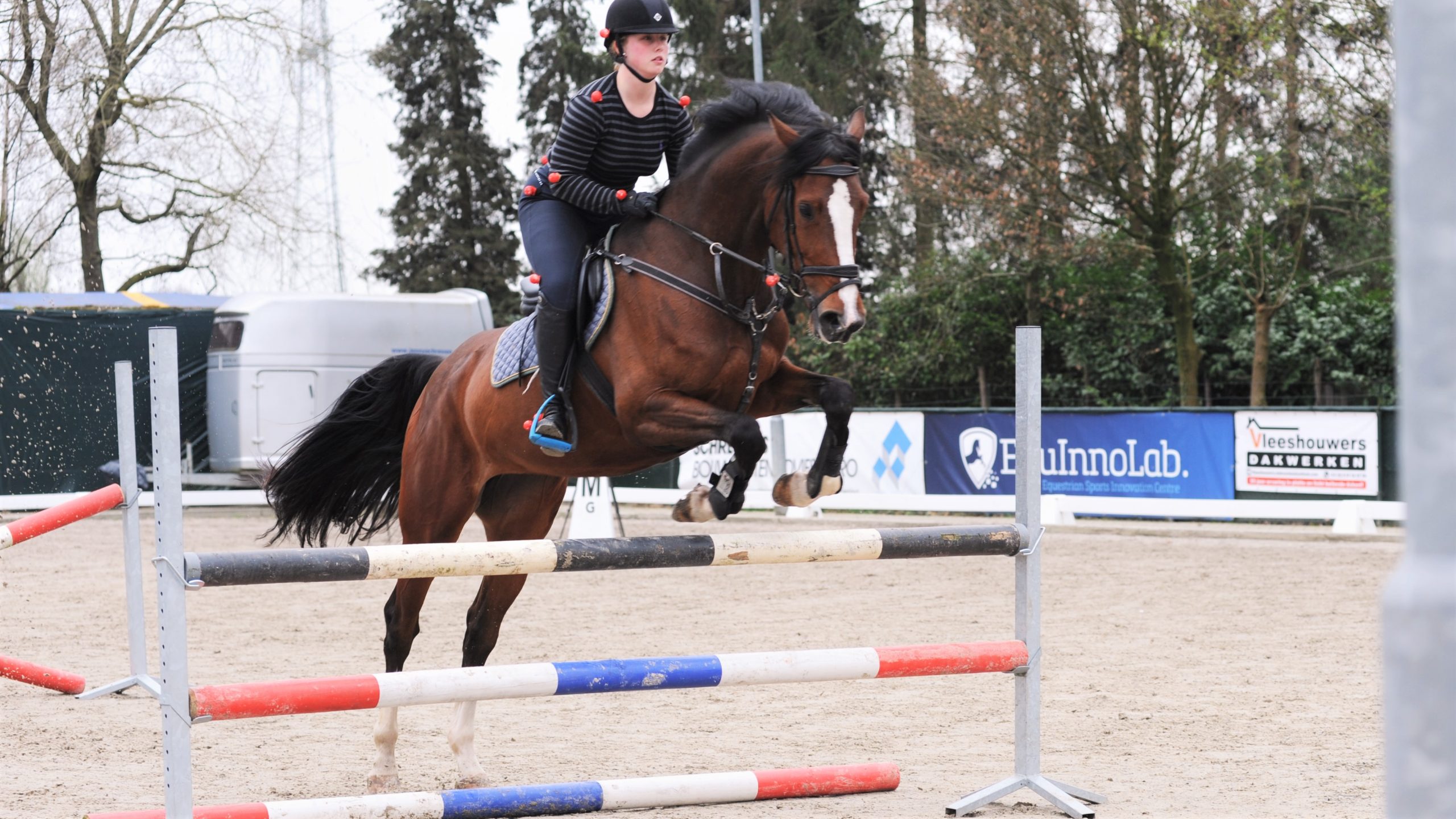 EquInnoLab expert advice to showjumpers and eventing combinations