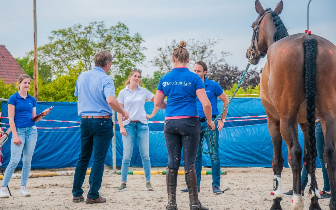 Evaluating the practical side of scoring horses with the EquInnoLab. MOTION system